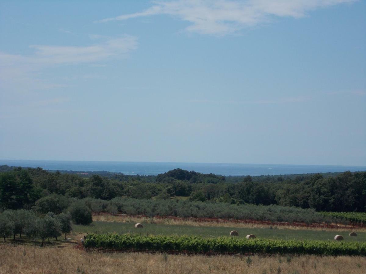 Vesna * Nova Vas (Porec)